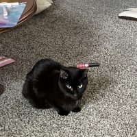 77247231055__8CD71DAD-3D19-4398-B915-1EE5C2E06B05