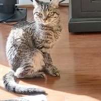 inbound4934766515382152600